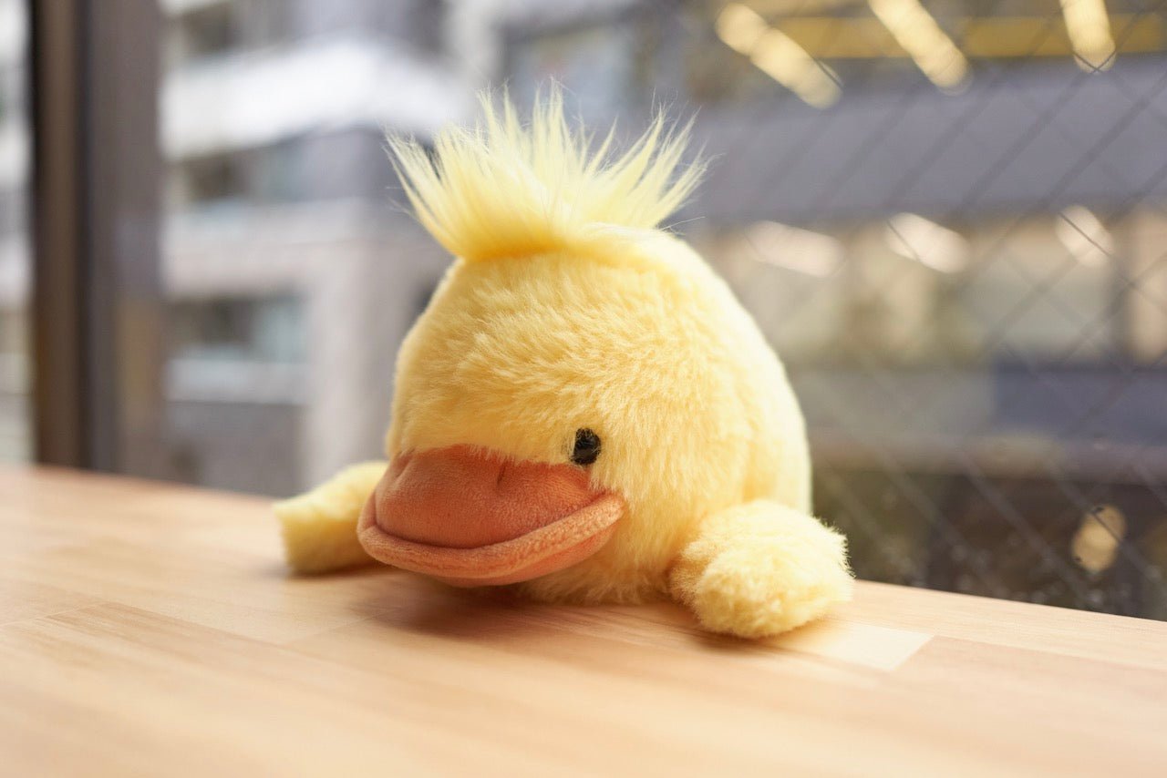 Funbaruz Posture Pal / Dreams