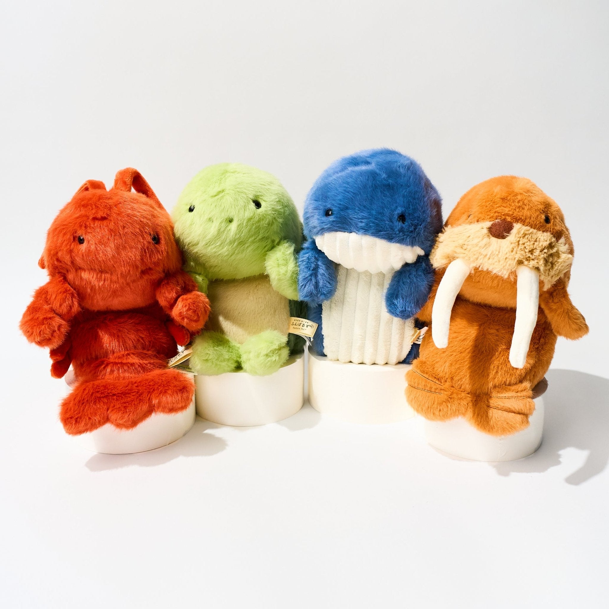 Funbaruz Posture Pal / Dreams