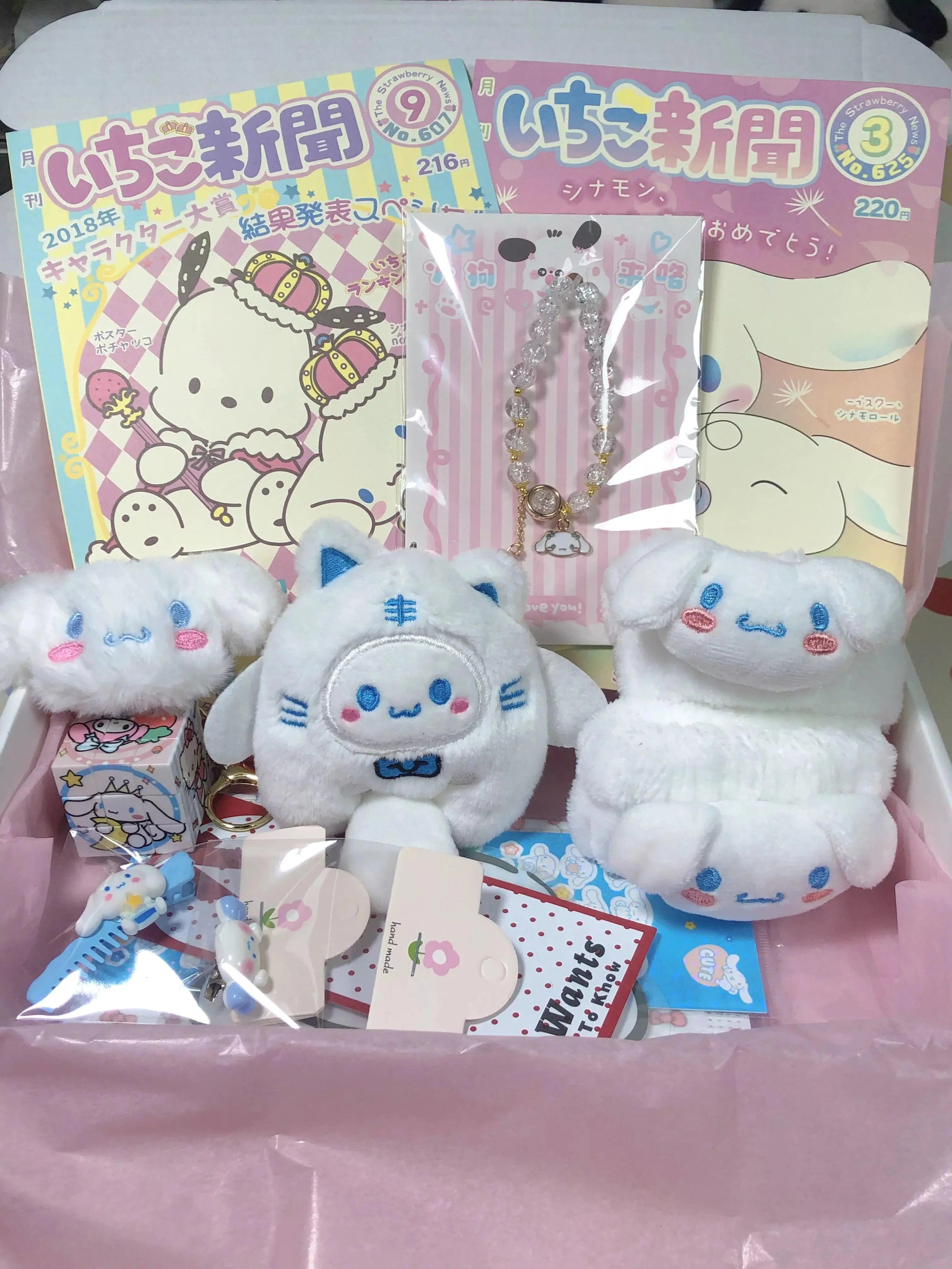 Cinnamoroll Mystery Gift Box