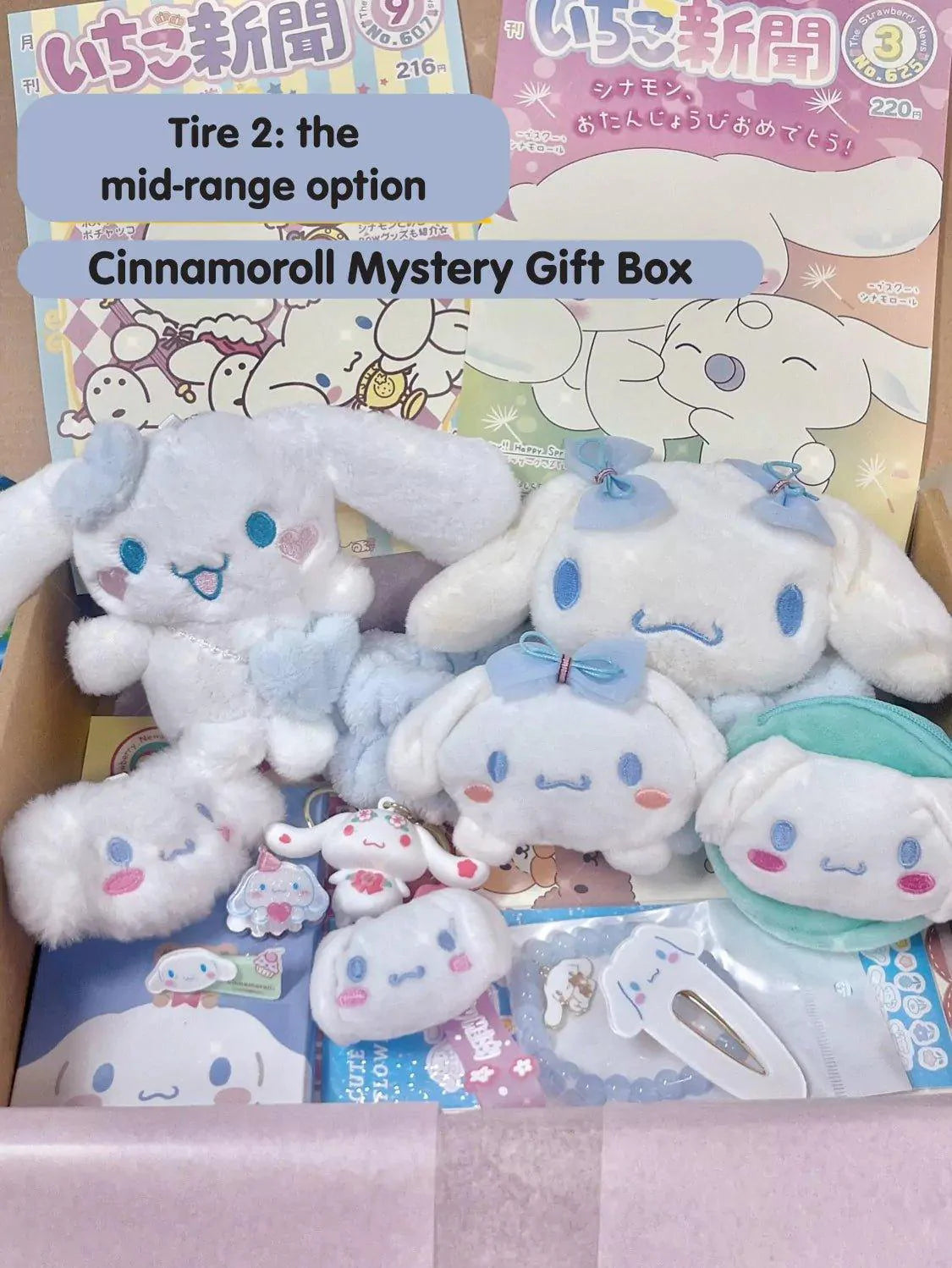 Cinnamoroll Mystery Gift Box