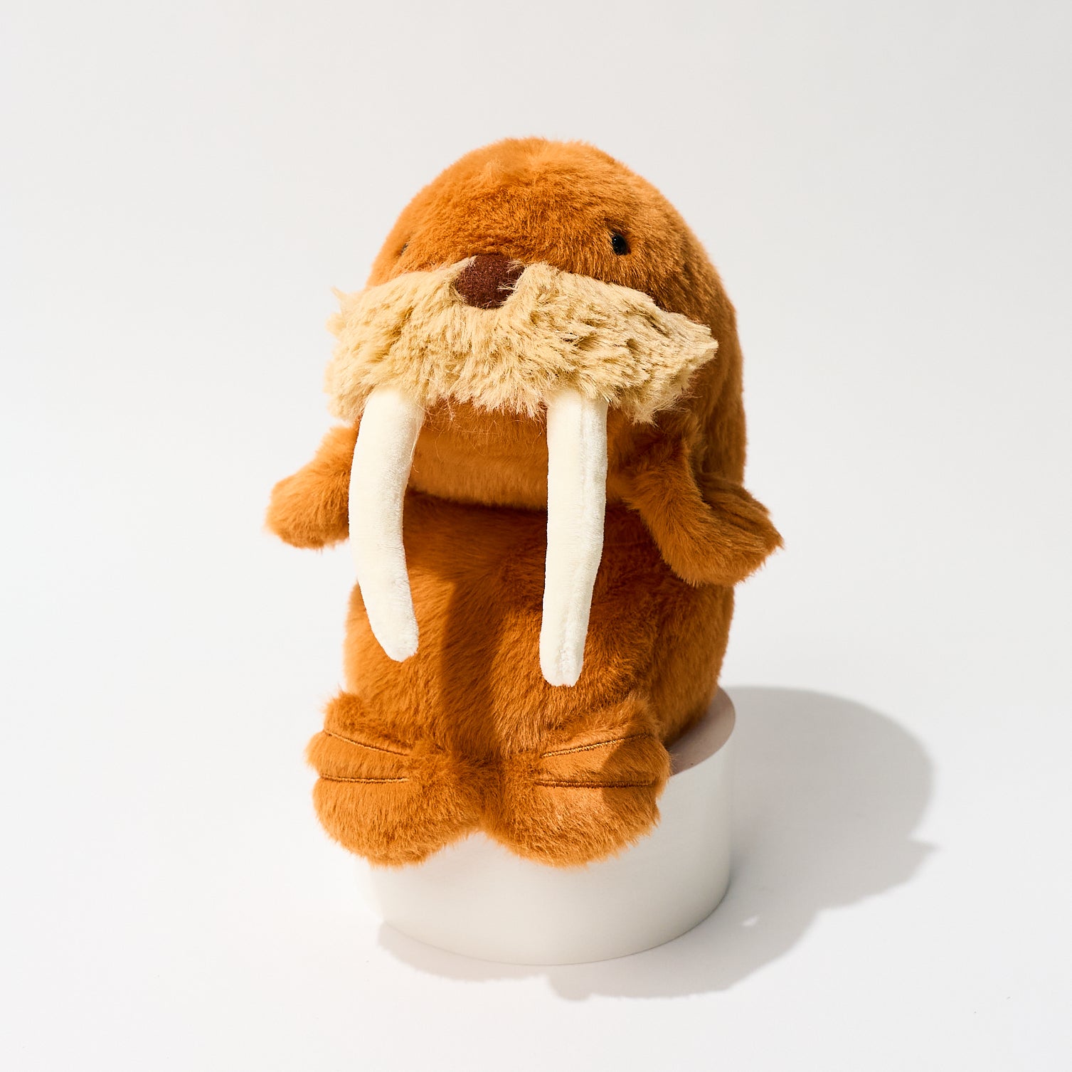 Funbaruz Posture Pal / Dreams