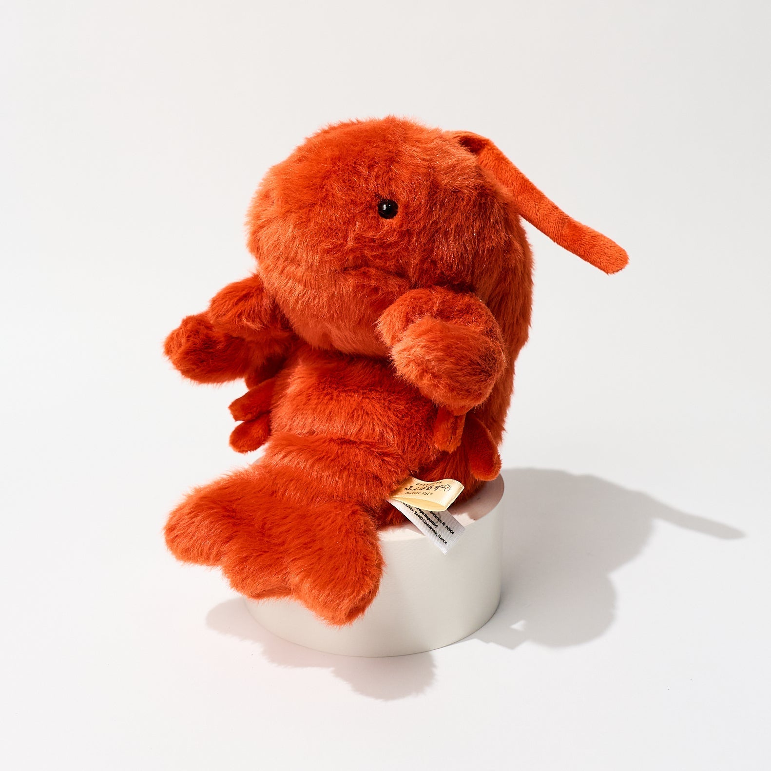 Funbaruz Posture Pal / Dreams