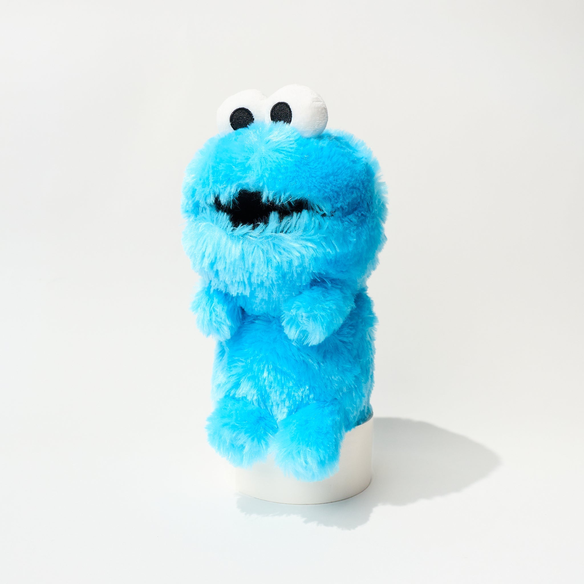 [Limited] Funbaruz Posture Pal Sesame Street / Dreams