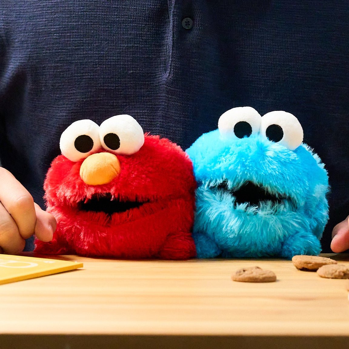 [Limited] Funbaruz Posture Pal Sesame Street / Dreams